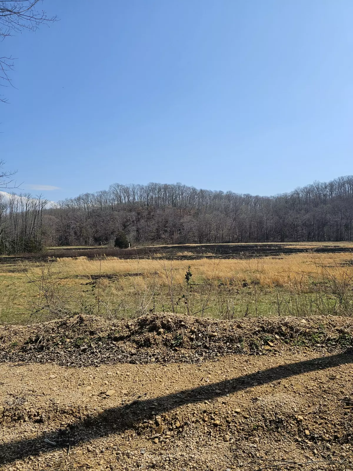 Centerville, TN 37033,1246 Sulphur Creek Rd