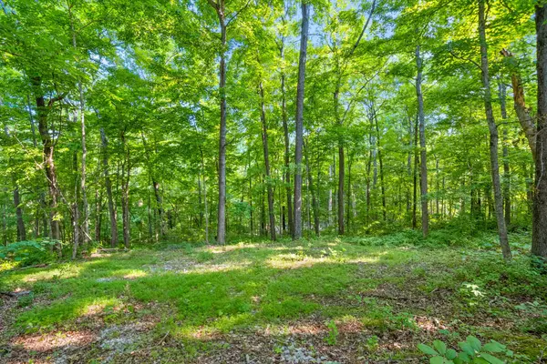Clarksville, TN 37040,1 Ferry Rd