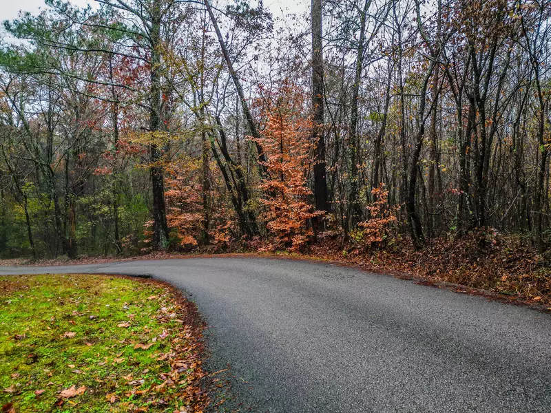 0 Long Hollow Road, South Pittsburg, TN 37380