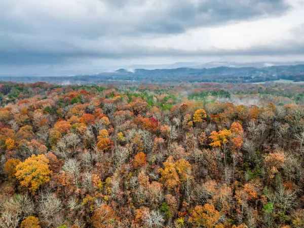 South Pittsburg, TN 37380,0 Long Hollow Road