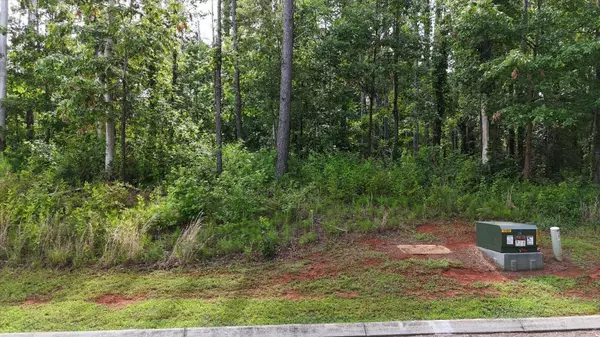 Jasper, TN 37347,0 Castaway Lane Lot 82