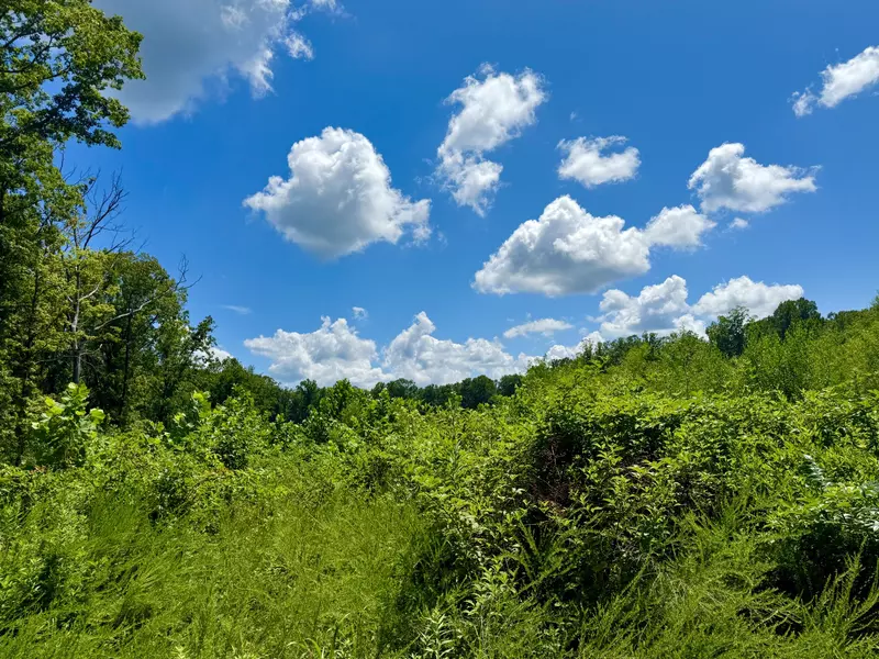 0 Ruble Dr, Clifton, TN 38425