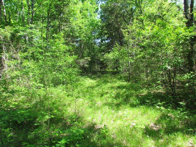 Lascassas, TN 37085,0 St John Rd
