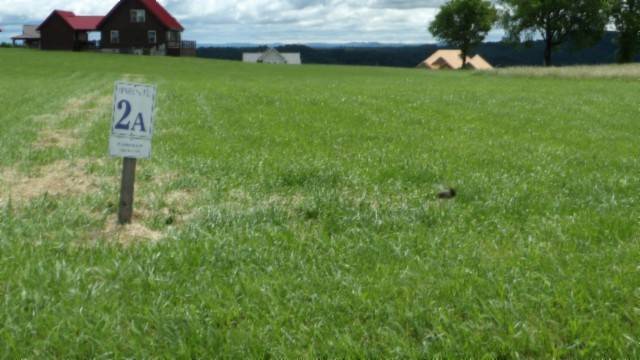 Hilham, TN 38568,2 A Swan Ridge Rd