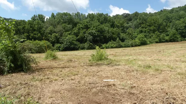 Celina, TN 38551,0 Lonnie Reecer Rd