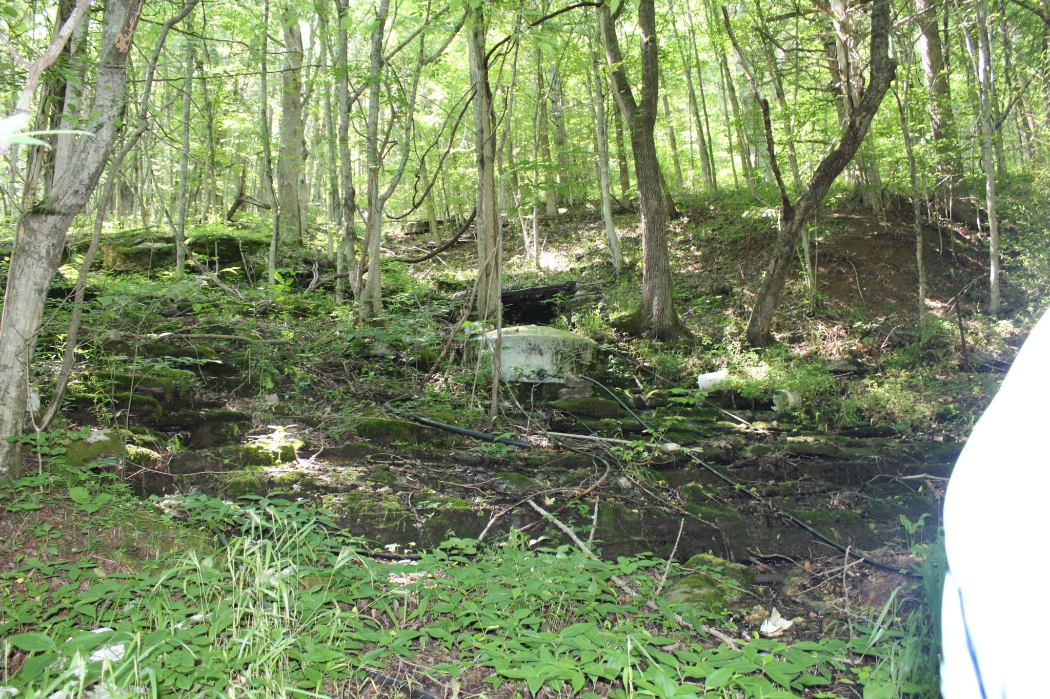 Silver Point, TN 38582,678 Love Valley Rd