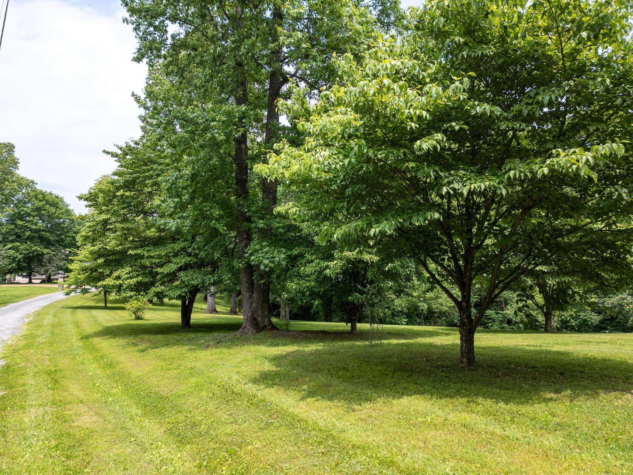 Silver Point, TN 38582,0 Lafever Ridge Rd
