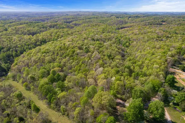 Lynnville, TN 38472,1555 Dog Hollow Road