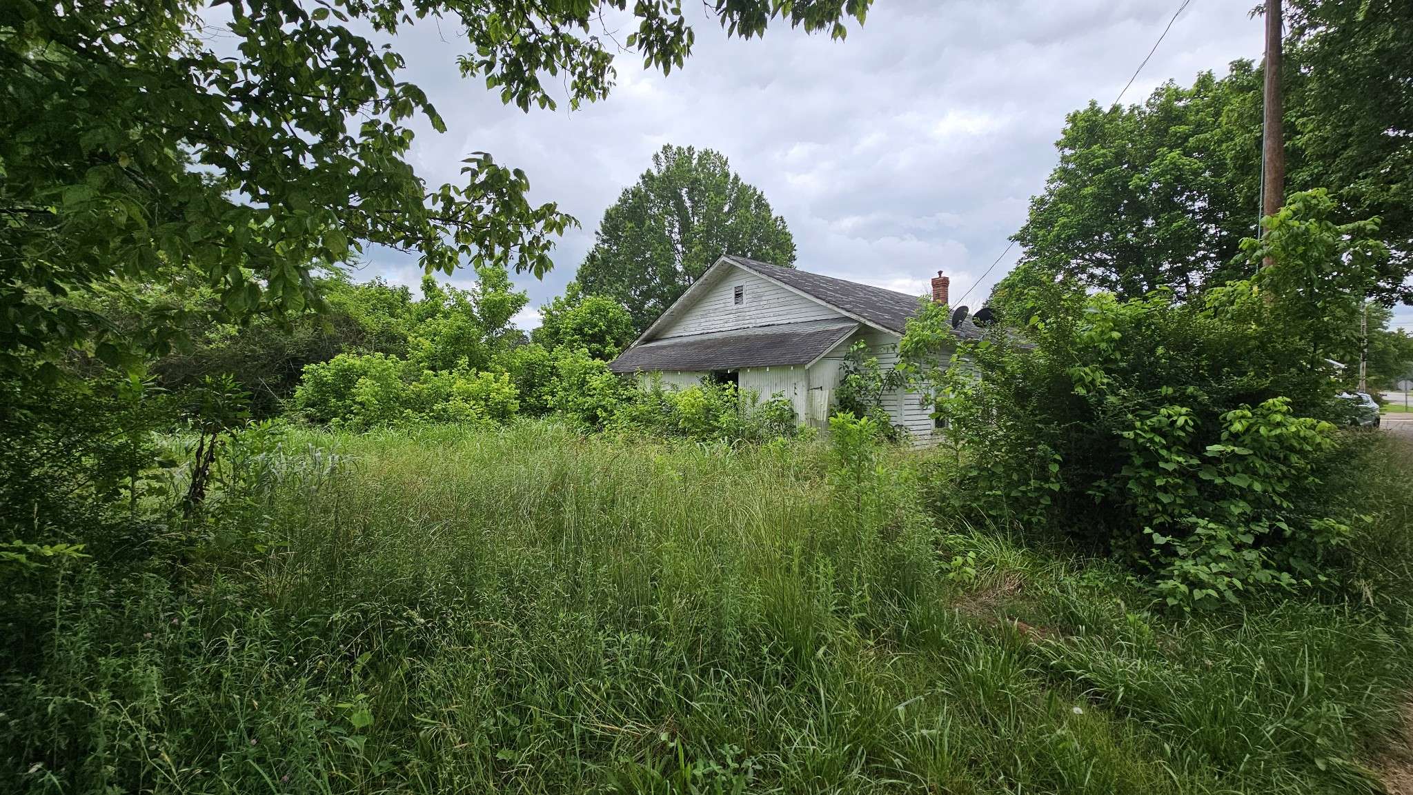 Enville, TN 38332,8705 Main St