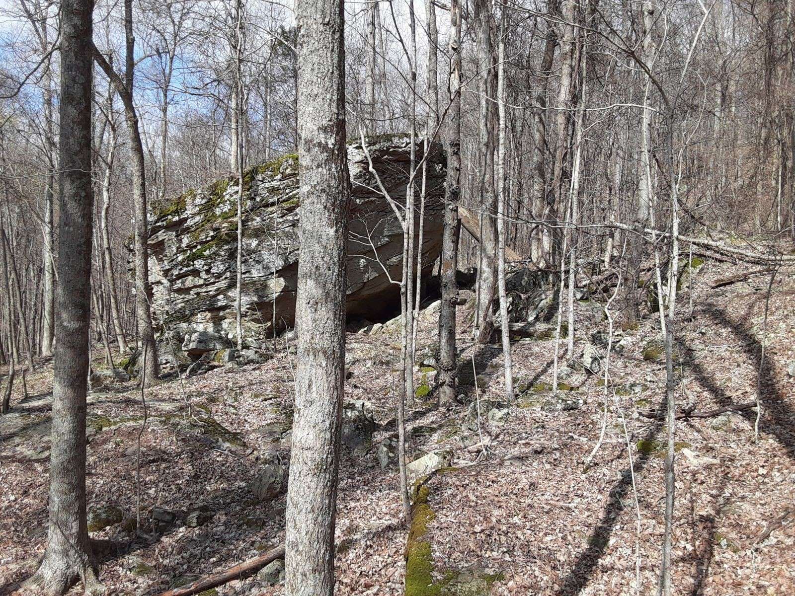Cookeville, TN 38506,0 SHEEP BLUFF ROAD
