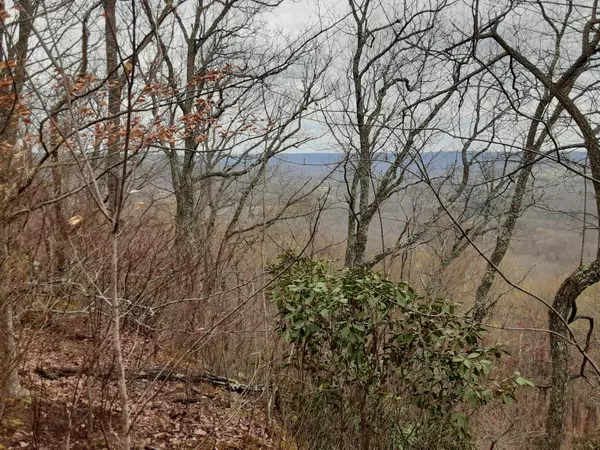 Cookeville, TN 38506,0 SHEEP BLUFF ROAD