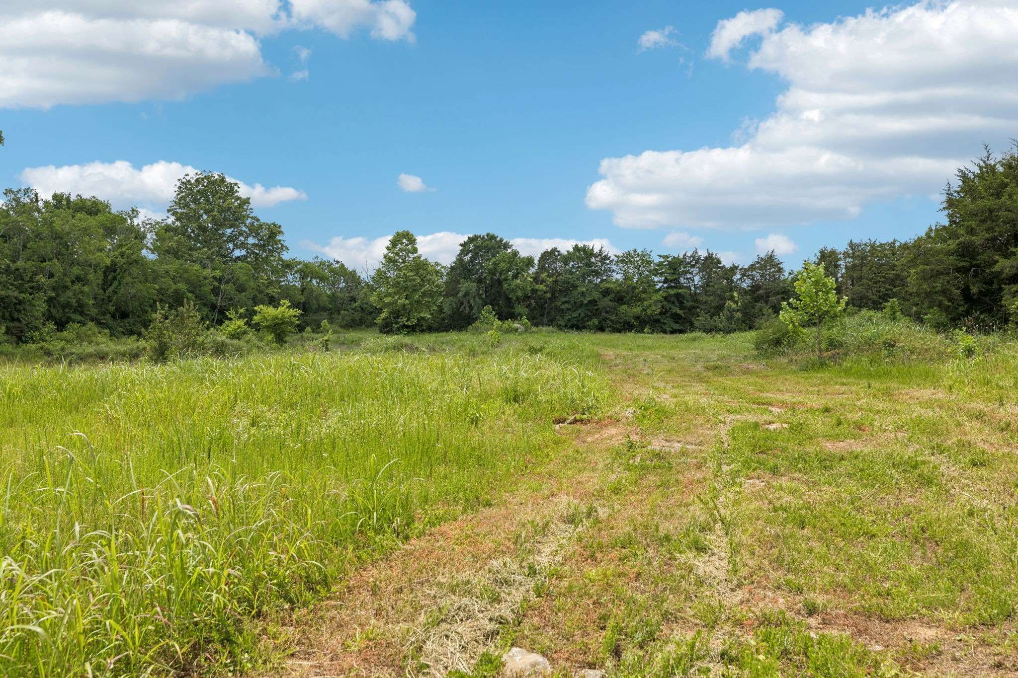 Columbia, TN 38401,0 Rally Hill Rd Bear Creek Rd