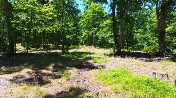 Big Sandy, TN 38221,8121 Lick Creek Rd
