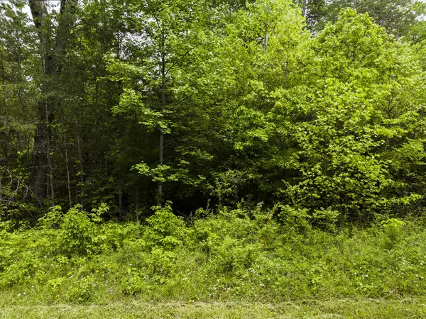 Gruetli Laager, TN 37339,2361 Colony Road