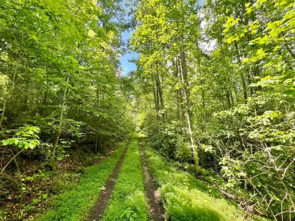Summertown, TN 38483,0 Powdermill Branch Rd