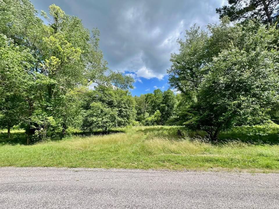 Summertown, TN 38483,0 Powdermill Branch Rd