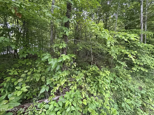 Jamestown, TN 38556,0 Hensley Rd