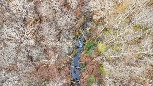 Jamestown, TN 38556,0 Iroquios Drive