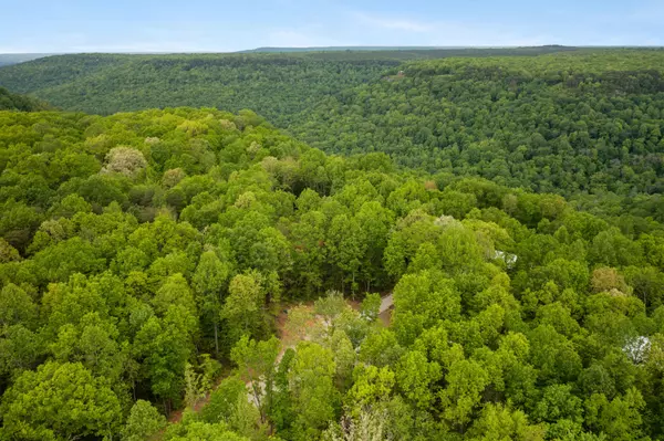 Monteagle, TN 37356,85 Twilight Point