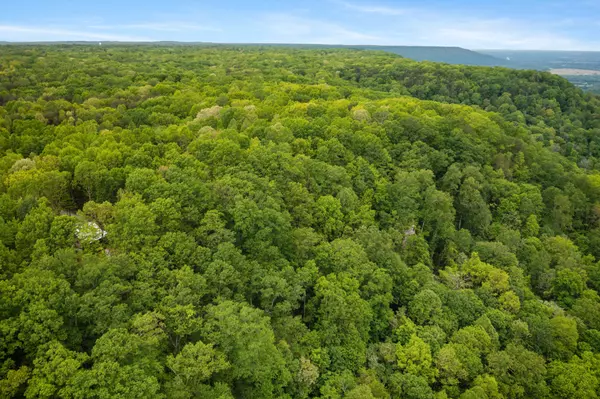 Monteagle, TN 37356,85 Twilight Point