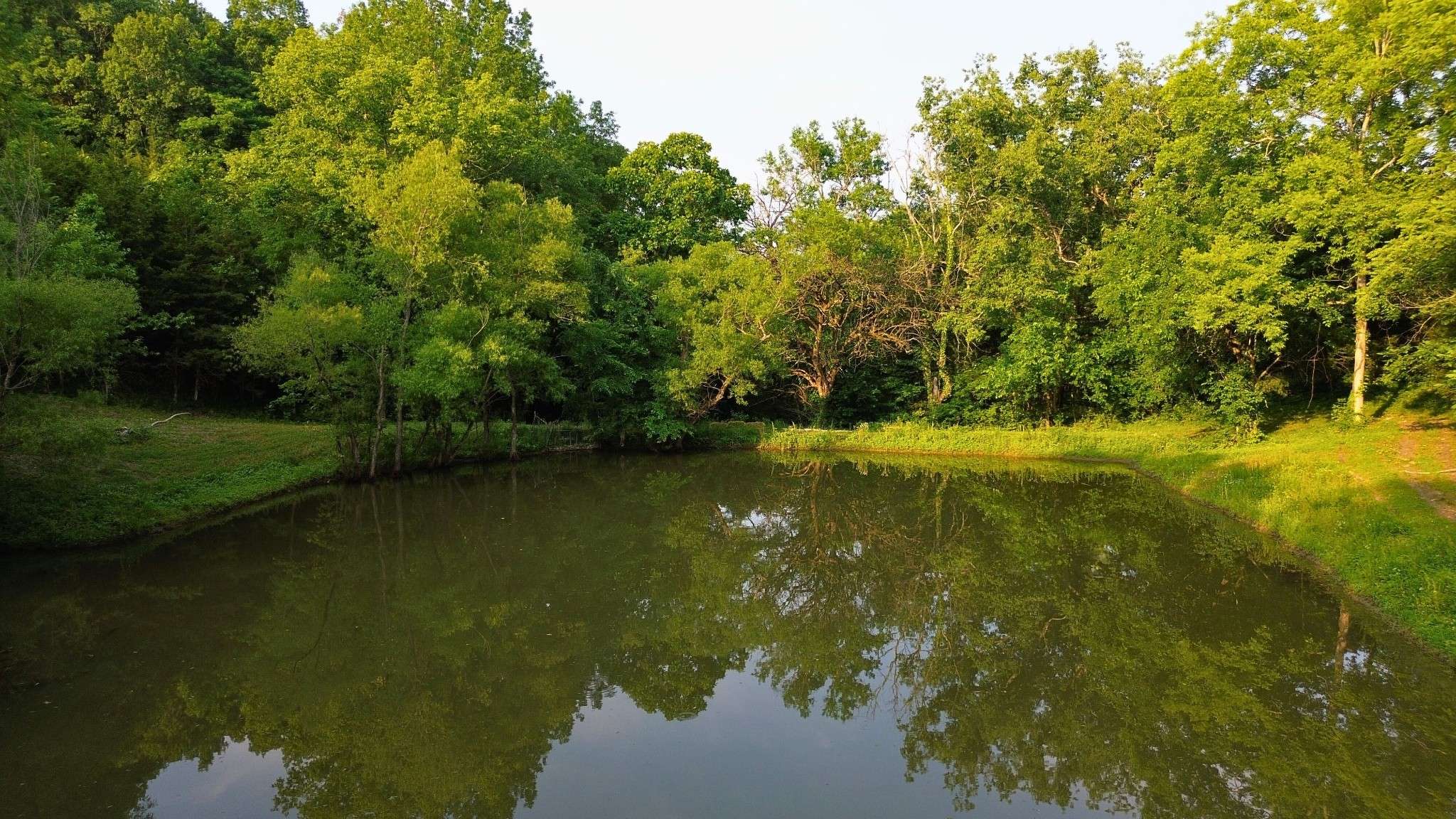 1441 Bradyville Hill Rd, Bradyville, TN 37026