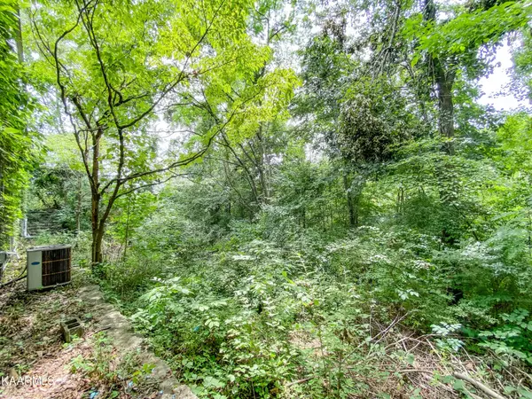 Clinton, TN 37716,321 Goans Ave