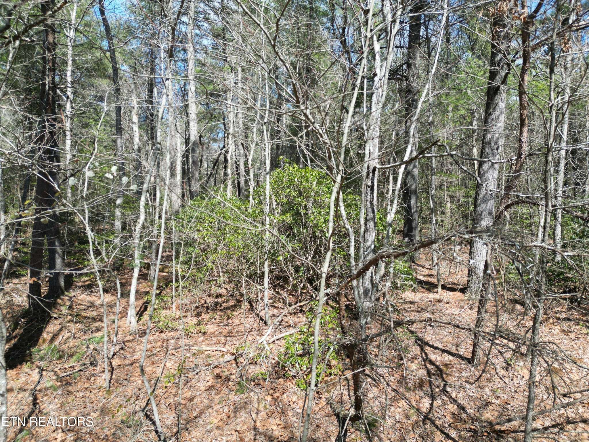 Crossville, TN 38558,158 Stratford Drive