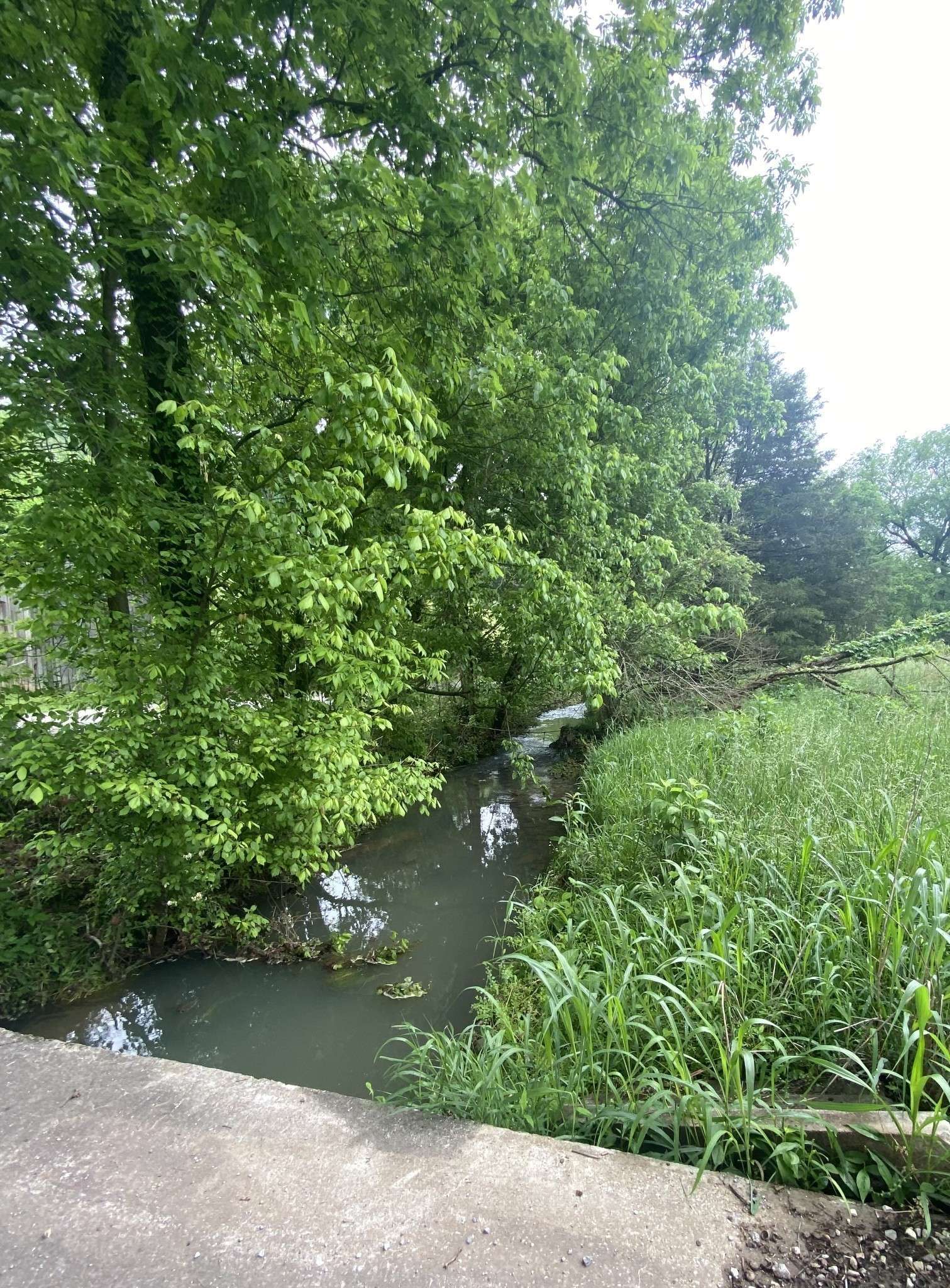 Hartsville, TN 37074,2669 Lick Creek Rd #2669A&B,2685A&B