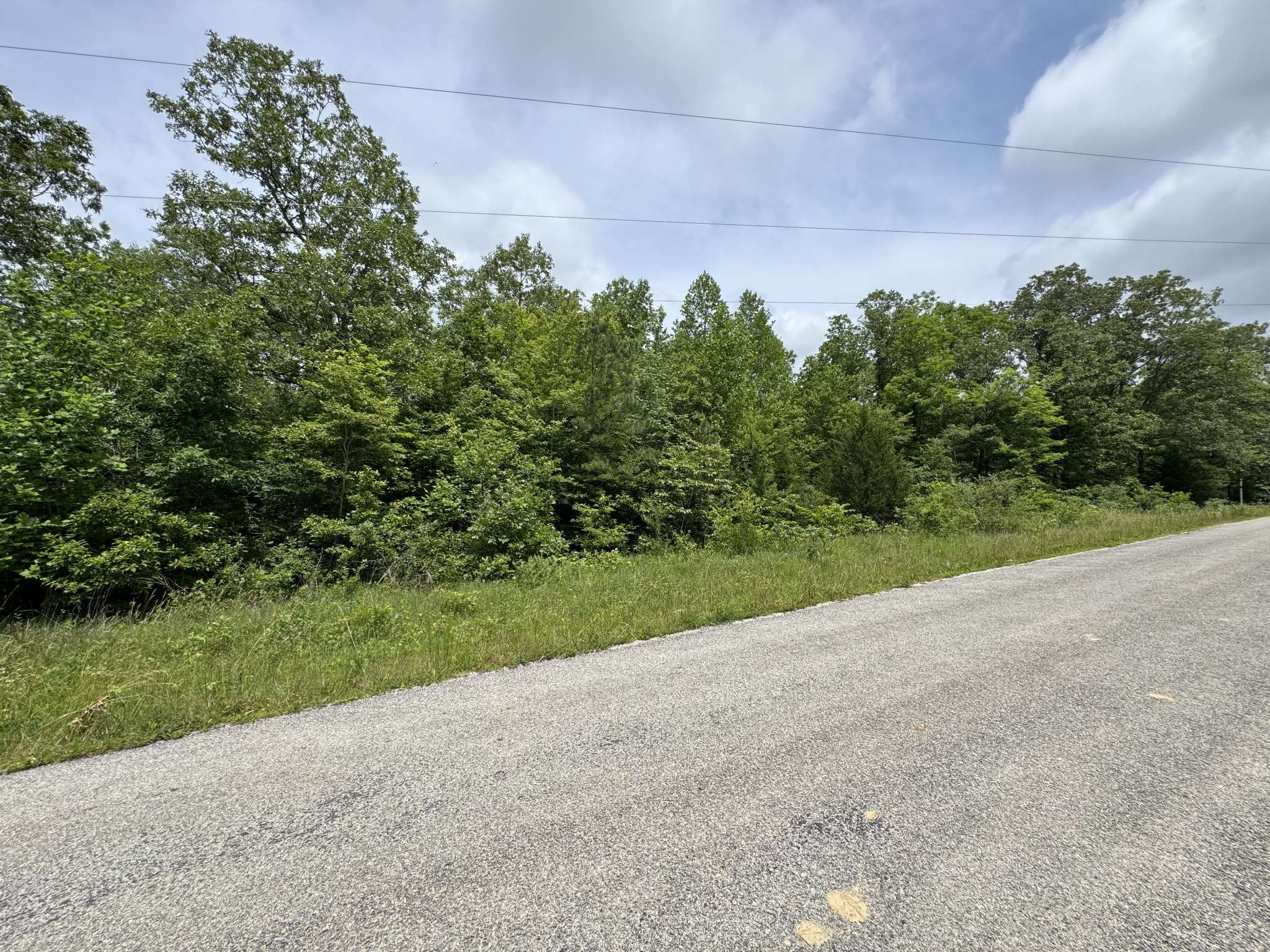 Summertown, TN 38483,0 Quail Hollow Dr