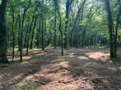 Murfreesboro, TN 37128,0 Old South Rd