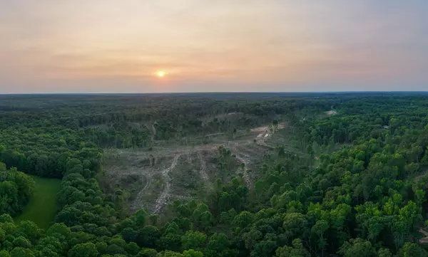 Dresden, TN 38225,0 Chicken Rd