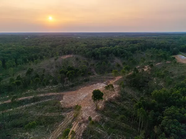 Dresden, TN 38225,0 Chicken Rd