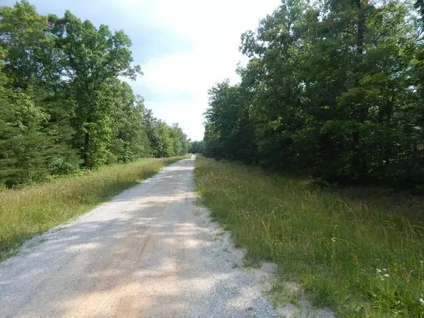 Altamont, TN 37301,0 4th Dr