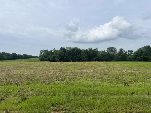 19 Annie Hollow Rd, Westmoreland, TN 37186