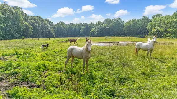 Manchester, TN 37355,431 Jack Thomas Dr