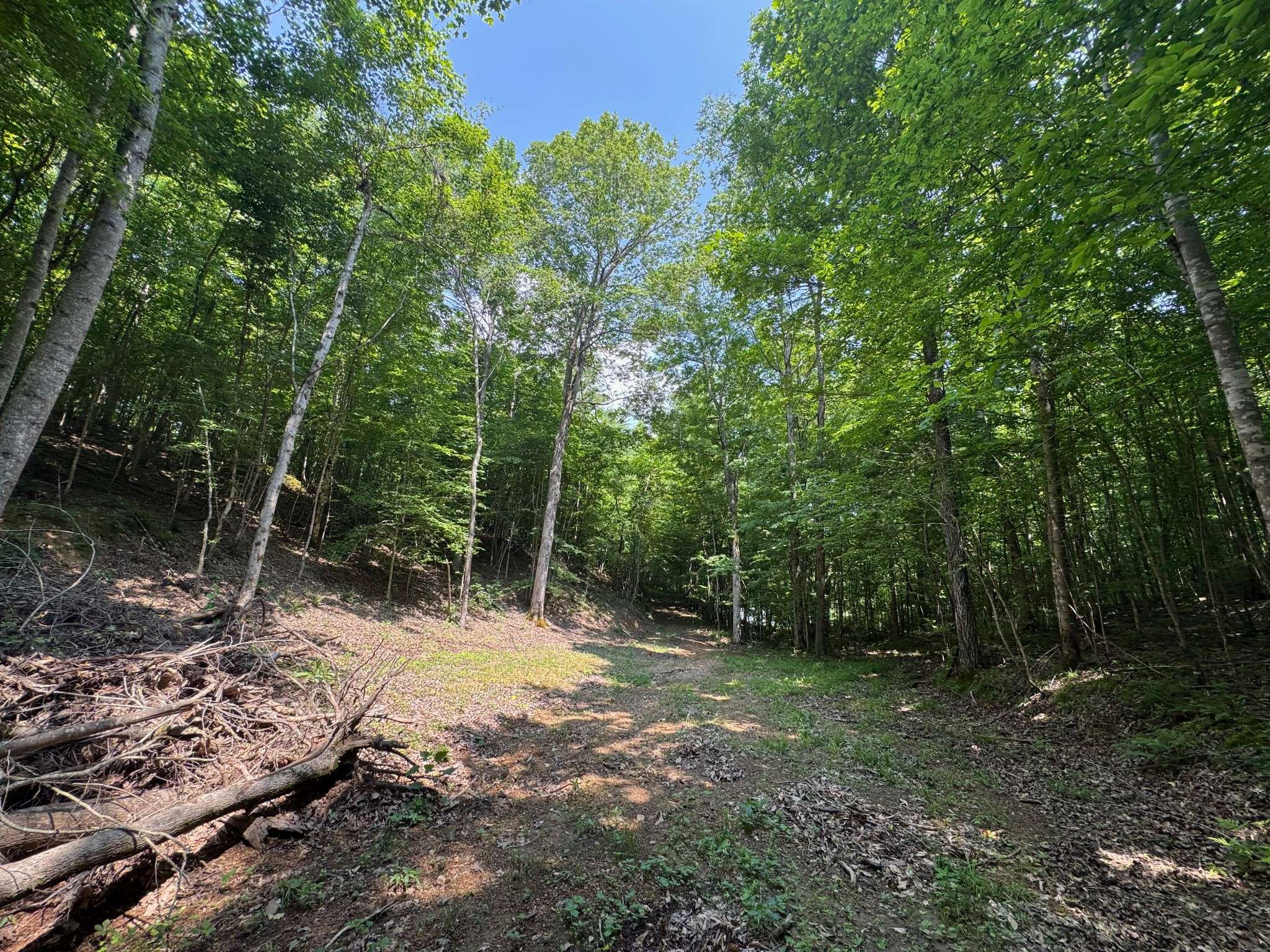 Centerville, TN 37033,0 Highway 100 W