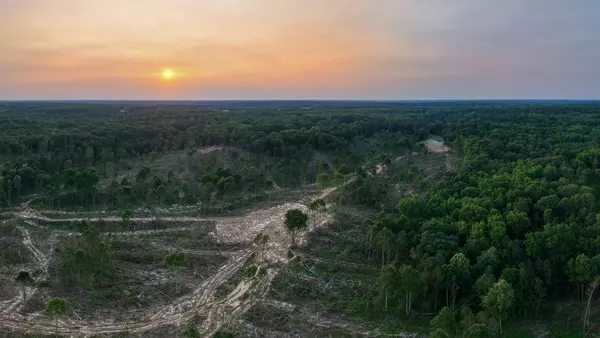 Dresden, TN 38225,0 Chicken rd