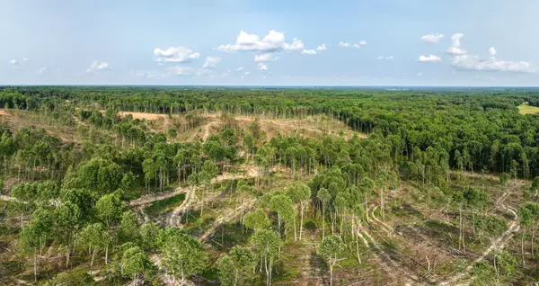 Dresden, TN 38225,0 Chicken rd