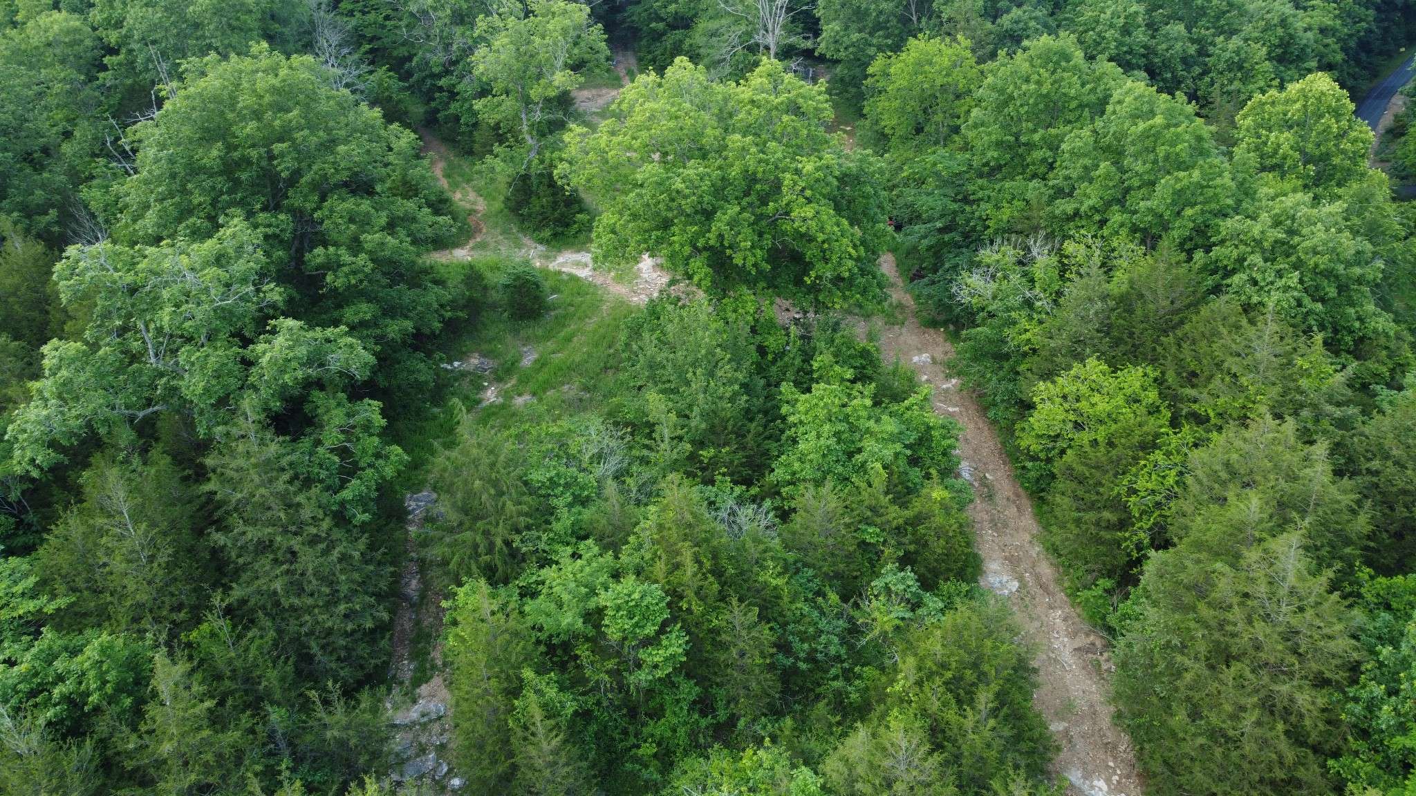 Bethpage, TN 37022,738 Rogues Fork Rd