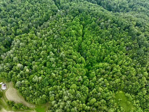 Del Rio, TN 37727,1 Ridge Hollow Rd