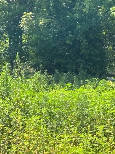 Bon Aqua, TN 37025,2329 Wayne Rd