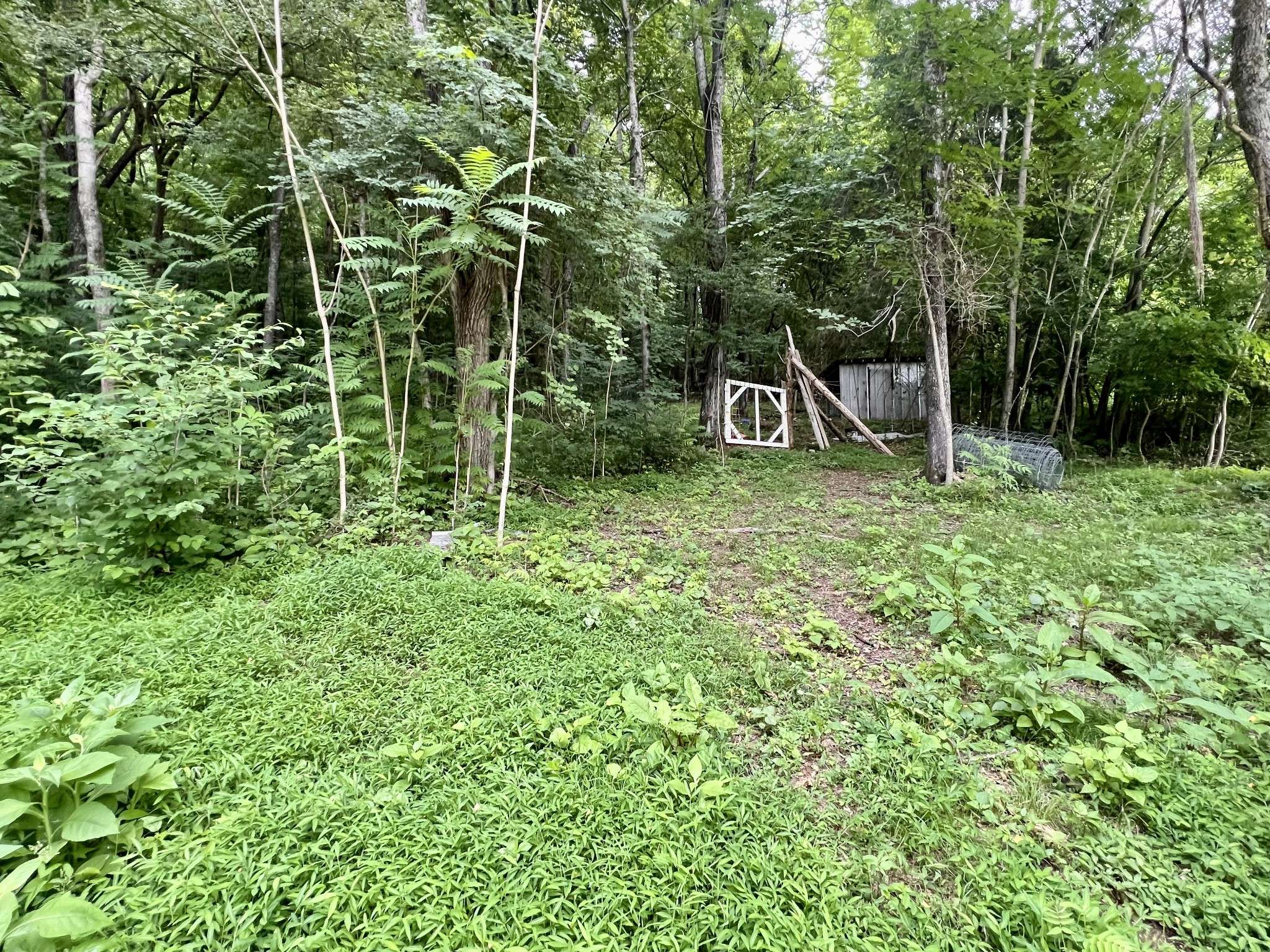 Pulaski, TN 38478,1173 Cedar Hurst Ln