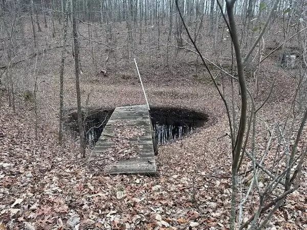 Tracy City, TN 37387,12062 Browns Hollow Road
