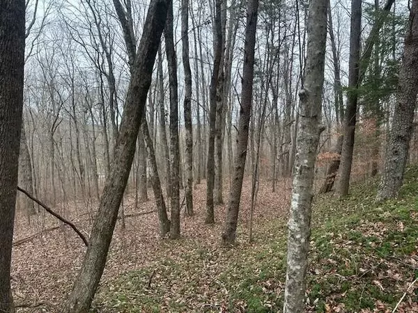 Tracy City, TN 37387,12062 Browns Hollow Road