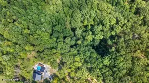Sevierville, TN 37862,10 Crown Circle