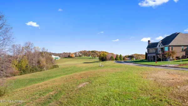 Vonore, TN 37885,261 White Swan Drive