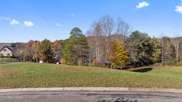 Vonore, TN 37885,261 White Swan Drive