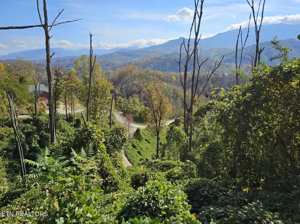 Gatlinburg, TN 37738,639 Kristis Place