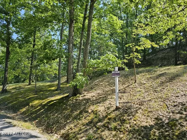 Sevierville, TN 37862,7 Village Circle