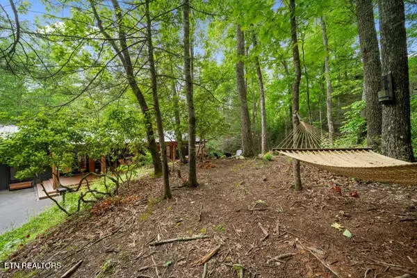Gatlinburg, TN 37738,515 Johnson Lane